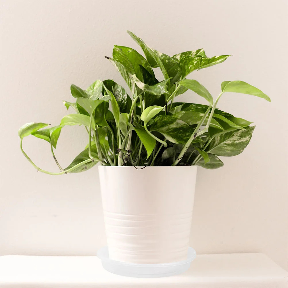 

10 Pcs Pot Base Round Saucer for Plants Water Tray Drainage Plastic Plants Water Tray Flower Pot Trays