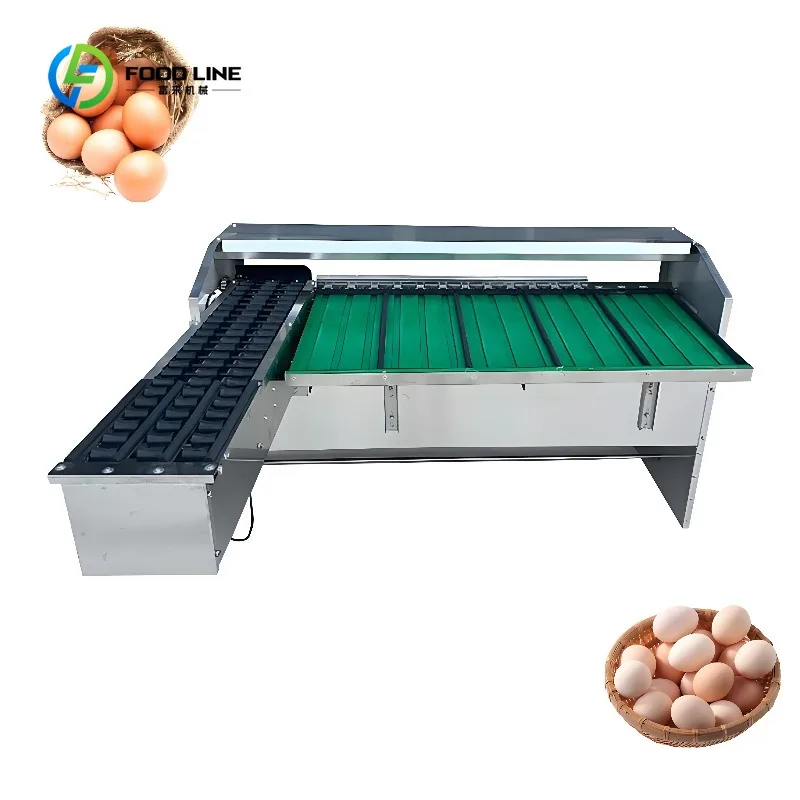 Customized Excellent Industry Egg Grade Wash Machine Egg Weight Grade Sort Machine Egg Grading and Sorting Machine