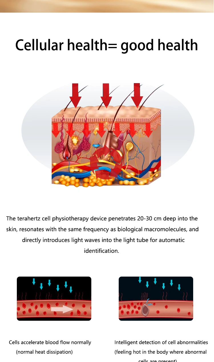 Tera hertz Physiotherapie Gerät Licht Magnet welle Energie therapie Instrument Gewichts verlust thz Gebläse Maschine Gesundheit Massage Zauberstab – Detail 7