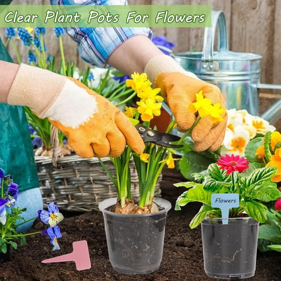 36 عبوة من أوعية الحضانة الشفافة مقاس 6 بوصات للأواني الشفافة للنباتات مع 40 قطعة من أوعية النباتات الشفافة مع فتحات تصريف البذور