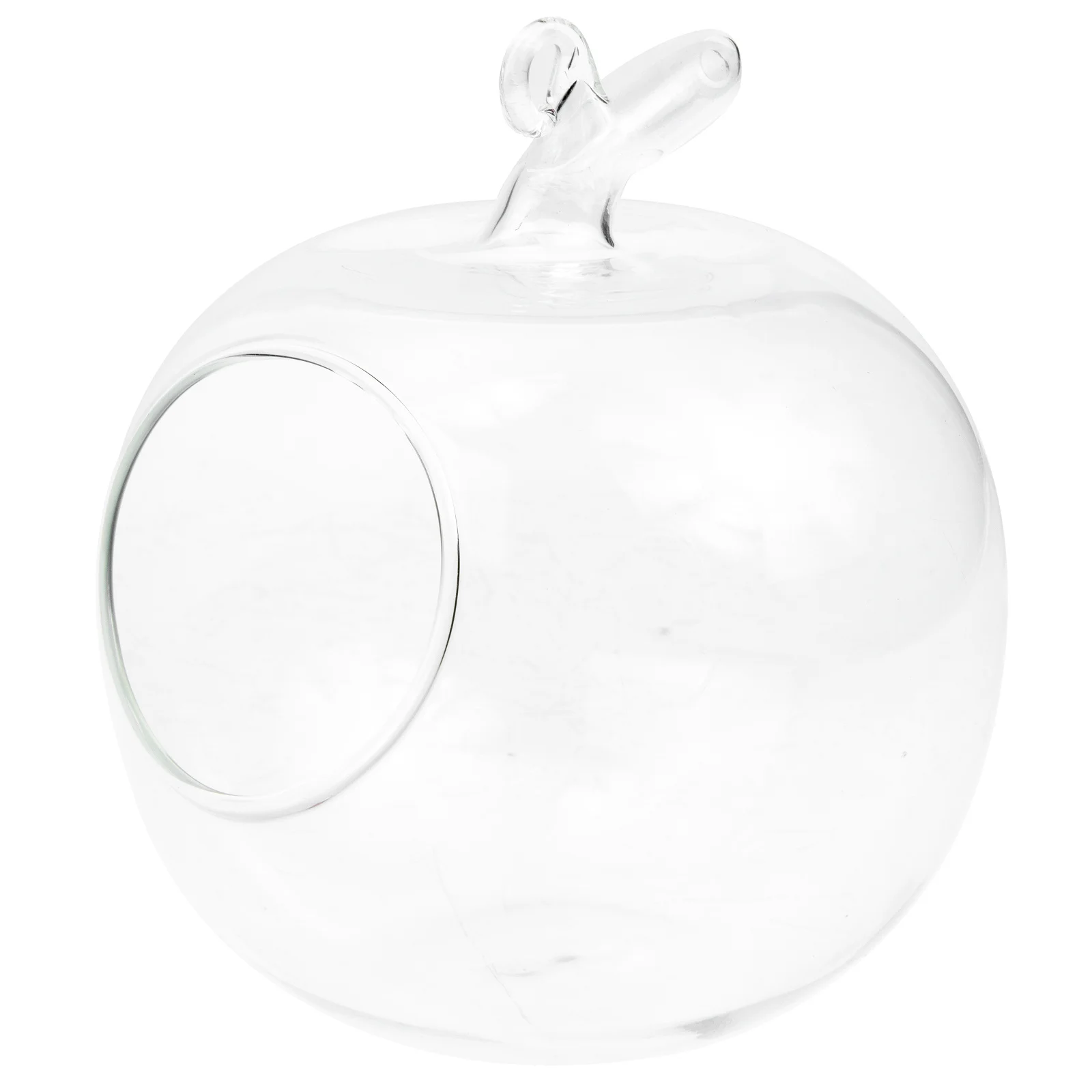 

Micro Landscape DIY Bottle Glass Terrarium Decorative Vase for Plants Air Plant Moss Terrarium Home Garden Decoration Fresh