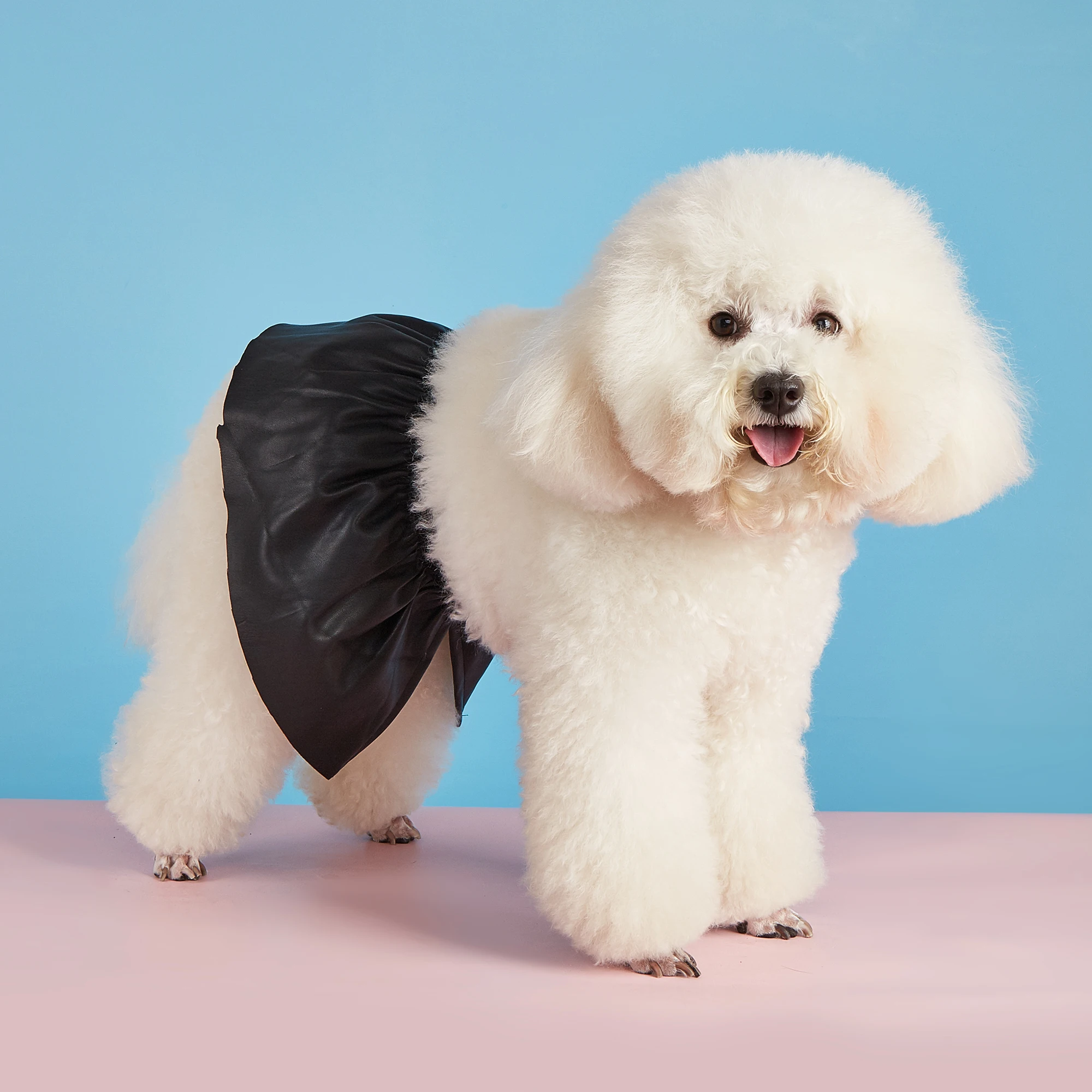 1 Dollar Limited Time Sale Pet Multi-Color Leather Skirt Small Medium Dog Wear Cute Pet Clothing