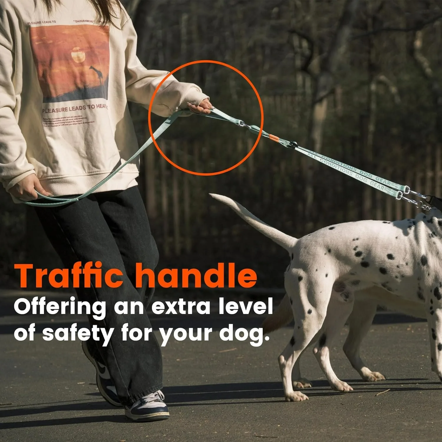 Double Dog Leash No Tangle Dual Dog Leash Lead Coupler Splitter Adjustable Two Handle Training Walking for Medium and Large Dog