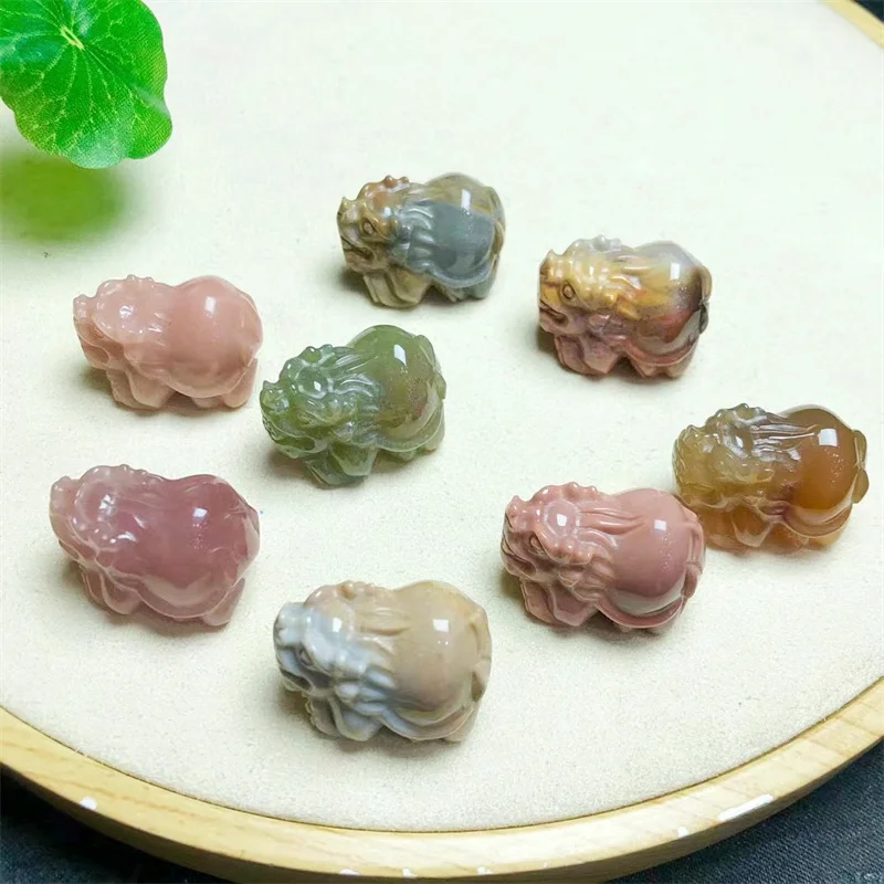 5PCS Natural Alashan Agate Dragon Turtle Carving Animal Craft Figurines Stone Carving Healing Reiki Home Decor Gift 24MM