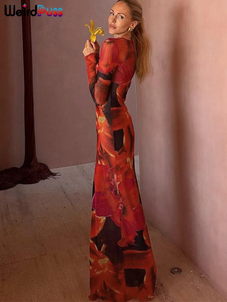 Weird Puss Colorful Print Dress Women Velvet o-Neck Skinny Full Sleeve Lace Hem Autumn Trend Stretch Casual Basic Long Bodycon