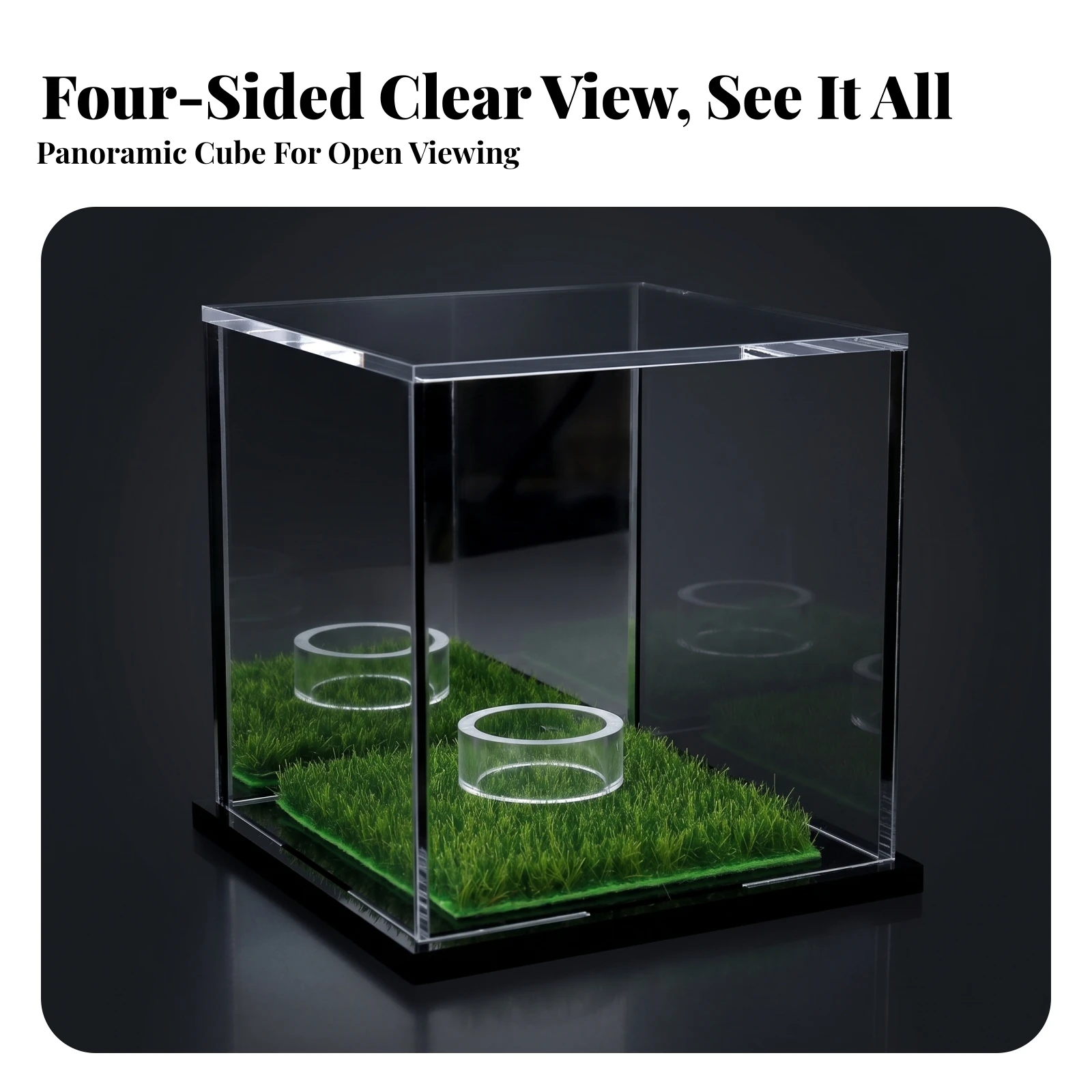 Acrylic Display Case Easy to Clean Square Grass-Lined Display Case Collectible Storage