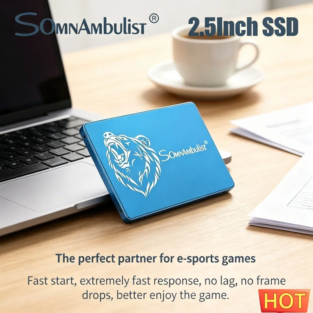 

Top Rated SomnAmbulist SSD Sata3 128GB 240GB 256GB 480GB 512GB 960GB 1TB 2TB Solid State Drive For Laptop Desktop