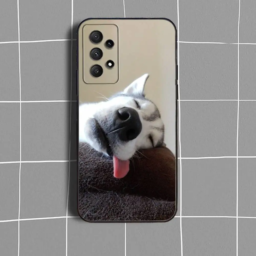 حافظة لهاتف سامسونج جالاكسي A73,31,32,72,41,53,52,71,22,5G,Note,J7,8,9 غطاء أسود ناعم