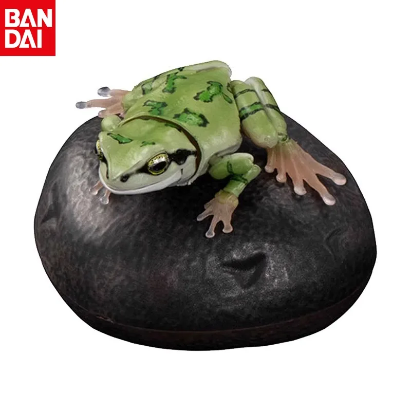 BANDAI Simulated Animal Model Rhacophorus Hylachinensis Different Style Models Active Joint Action Figure Desktop Decoration
