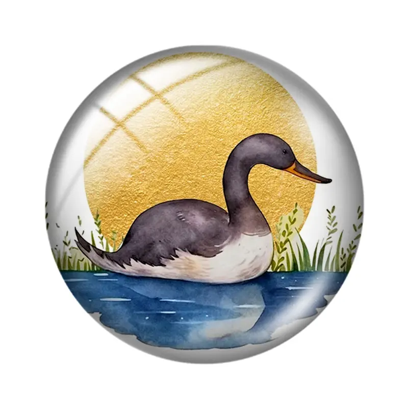 Animals By Night 12/18/20/25mm glass cabochon necklace bracelet pendant rings for jewelry demo earrings back Making findings