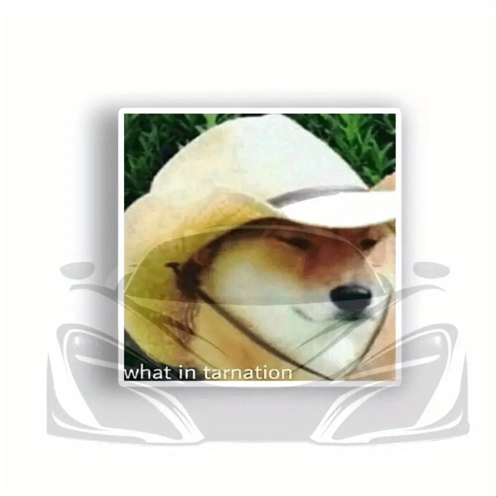 What In Meme Waterproof Vinyl Sticker Decal For Car Laptop Wall Window Bumper Waterproof Stickers For Decorating Car Windows Mot