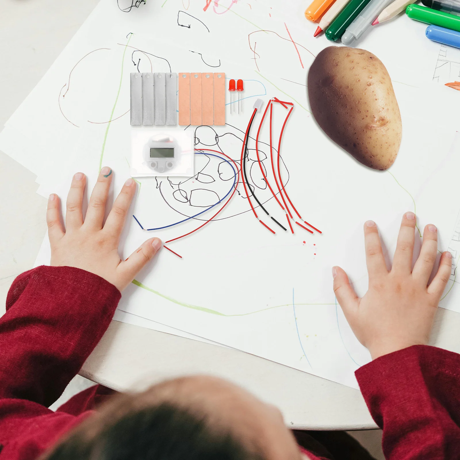 

Fruit Experiment Kit Electric Circuit for Kids Physics Children's Science Kits
