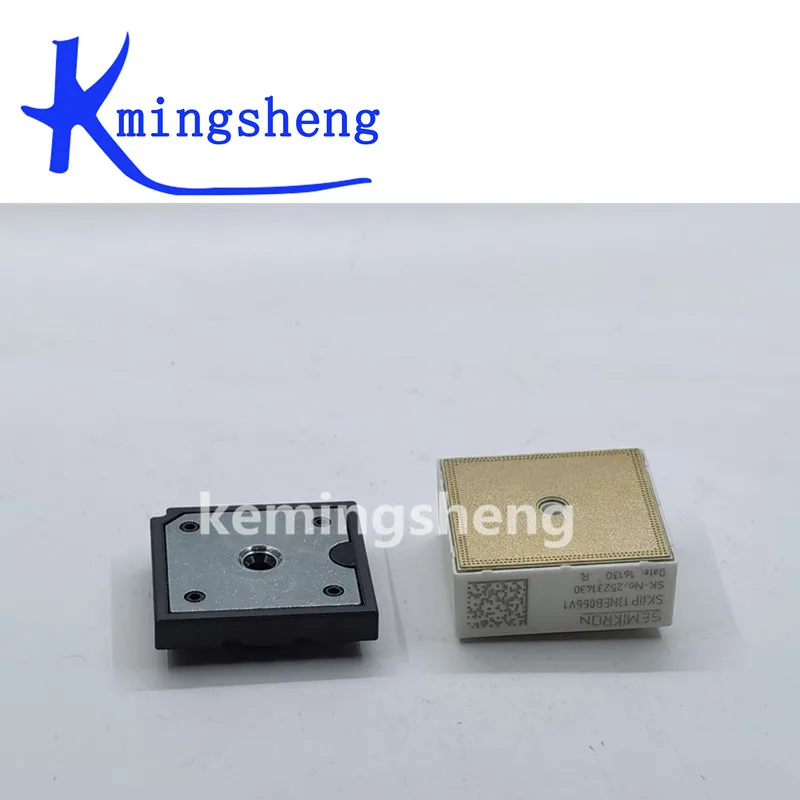 SKIIP13NEB066V1 SKIIP14NEB066V1  New and original MODULE Free Shipping