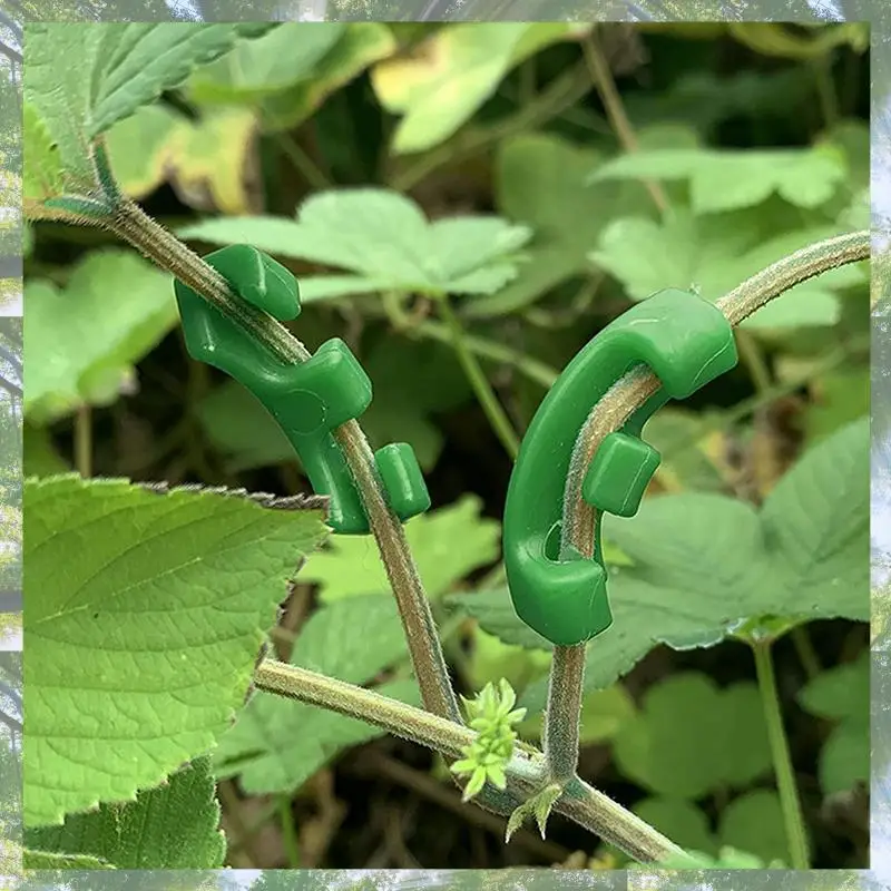 

Premium-288 Pcs 90 Degree Plant Trainer For Low Stress Training Bending Clips LST Clips For Plant Trellis Growth Kits