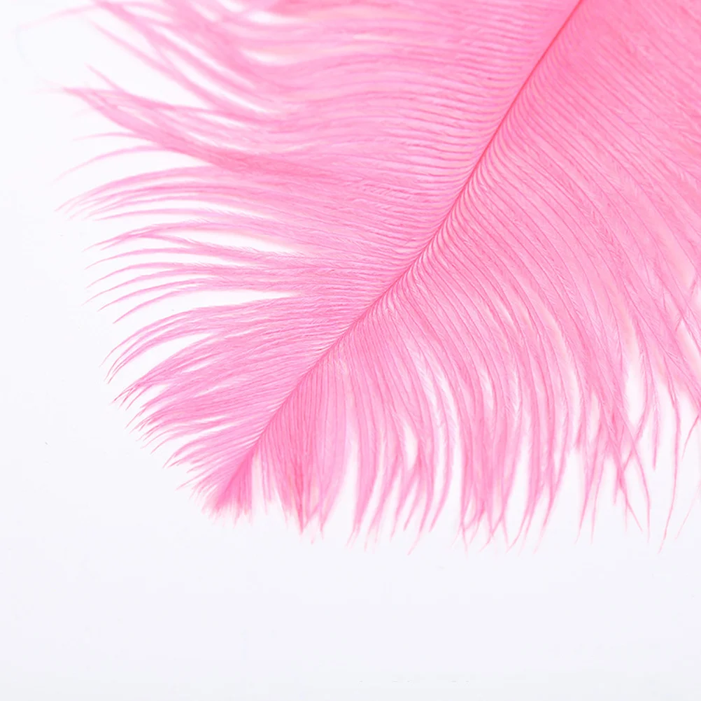 

10pcs Wedding Ostrich Masks Natural Artificial Decoration For Crafts Party Costumes Home Decor Centerpieces