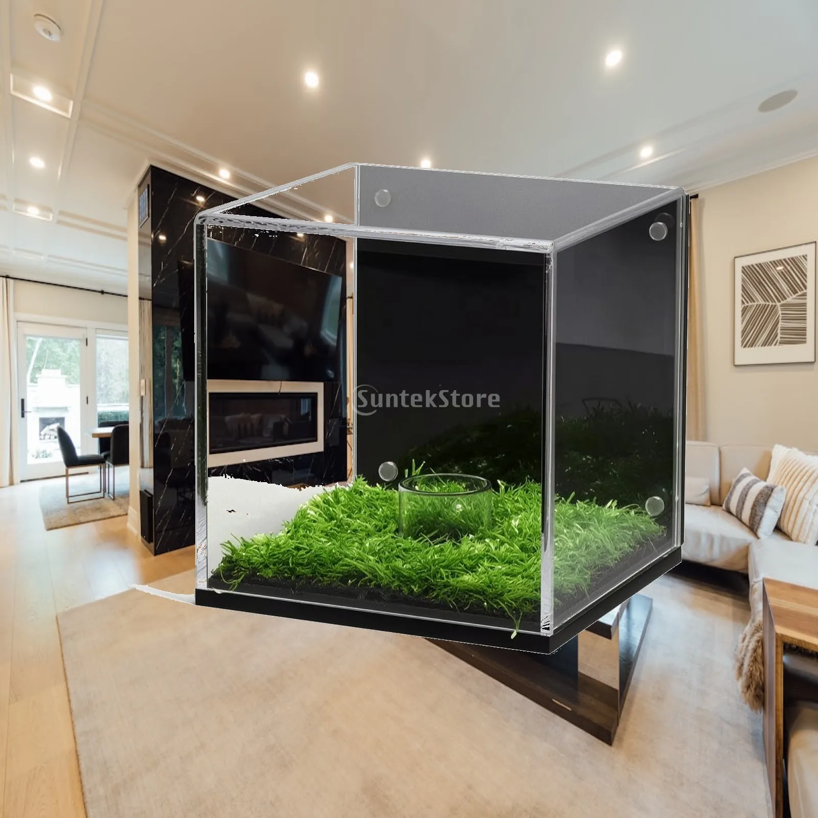 Sleek Acrylic Display Case Black Trimmed Clear Cube with Green Base Dustproof Box for Desktop Ornaments