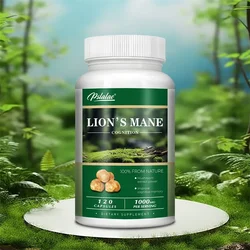 Lions Mane - Enhance Brain Memory, Concentration, Immunity and Relieve Stress