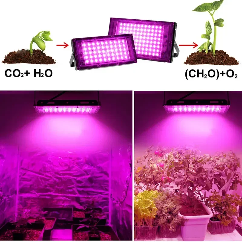 Imagem -03 - Full Spectrum Plant Led Grow Light Phytolamp para Plantas Cultivo Interno Estufa Sementes de Flores Lâmpada uv 50w 100w 200w 300w