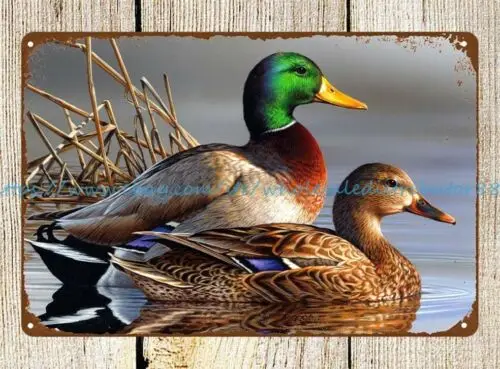 Mallard ducks birds animal metal tin sign dorm room buy posters