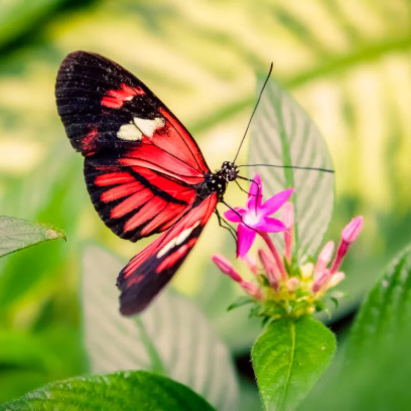 

4 шт. шины 100/107 мм и колеса 17 мм для Arrma 1/7 Infraction, Limitless, Felony, FSR Model GT RC Car — обновленные детали