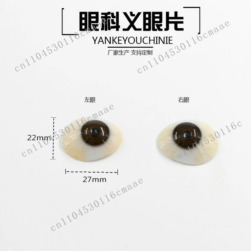Polymer resin prosthetic piece atrophy removal Eyeball for ultra-thin prosthetic table