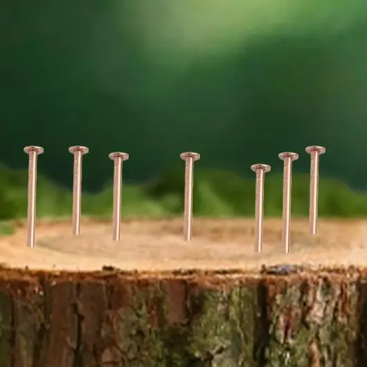 

Copper Nails For Killing Tree Stump Roots, Stump Removal Spikes Hardware Tree Nails Tree Killer Spike With Drill Bit Tool