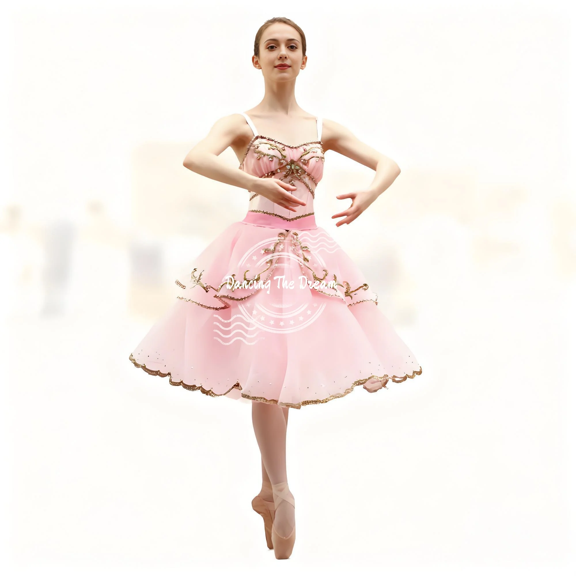 

Glamorous Pink Embroidered Beaded Ballet Dress Romantic Pink Tulle Embroidered Ballet Costume