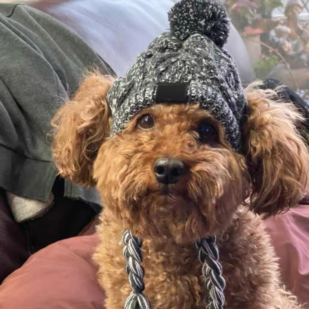 

Knitted Pet Dog Hat Winter Warm Head Cover for Small Medium Dogs with Ear Holes Stay Warm Outdoor Adventure Gift