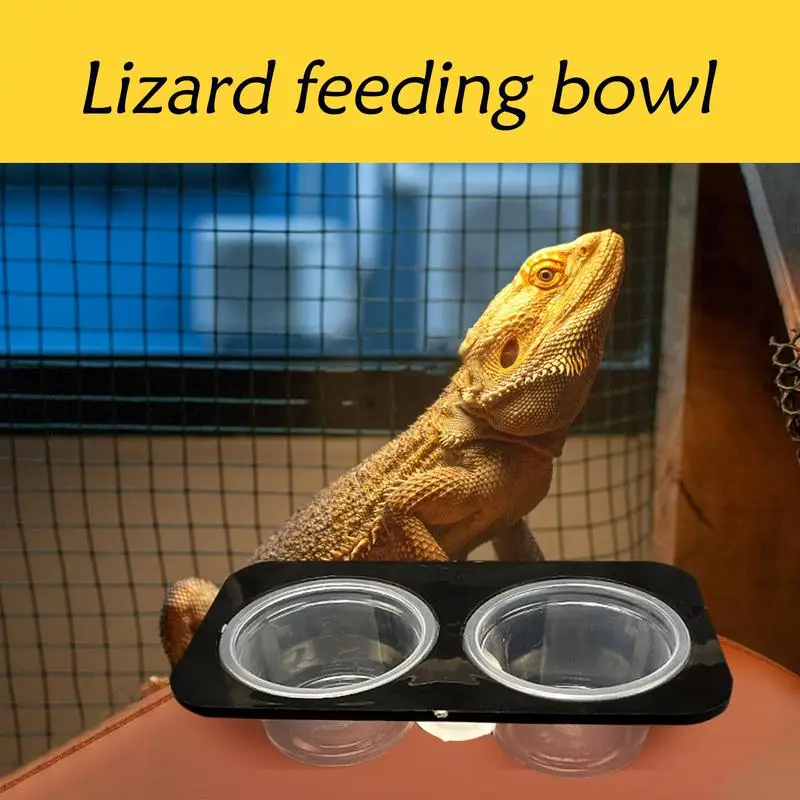 Plato de agua para tanque de reptiles, cuenco de agua con cresta, alimentador de comida para reptiles, accesorios de tanque desmontables que ahorran espacio con tazas de alimentación