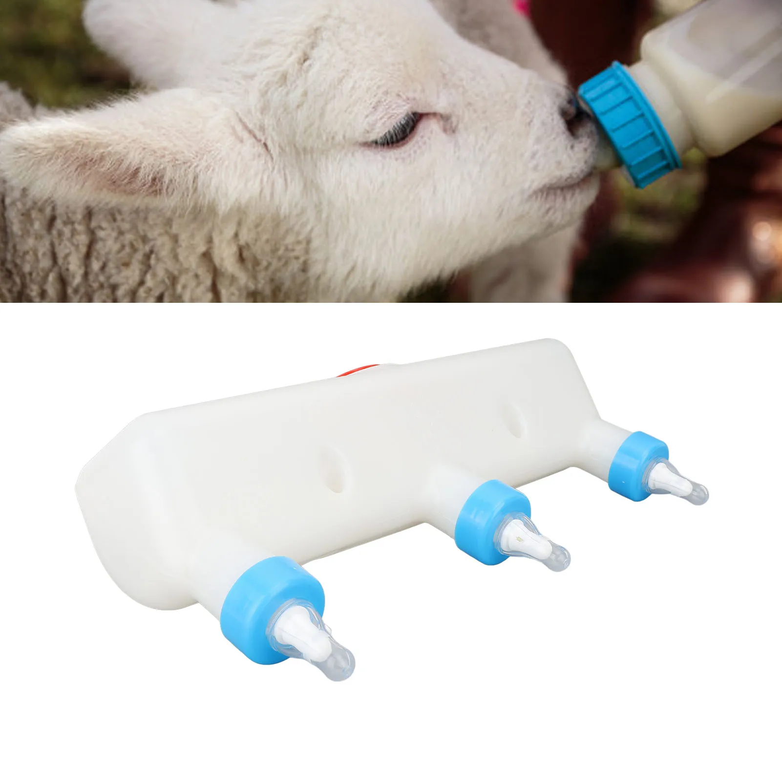 Lamb Feeder with 3 Nipples 3L Plastic Silicone Livestock Teat Milk Feeding Tool for Piglet Puppy Goat Calf Farm