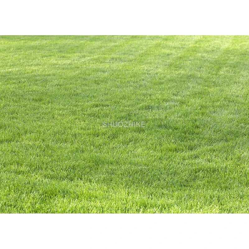 Fotorealistyczna tkanina naturalna sceneria fotografia tła drewniana podłoga łąkowa motyw Photo Studio tło rekwizyty 21812 DFZ-01