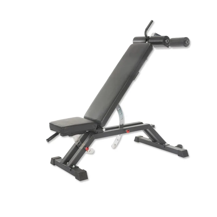 

Durable Ergonomic Roman Chair for Home Gym Benches & Racks Product