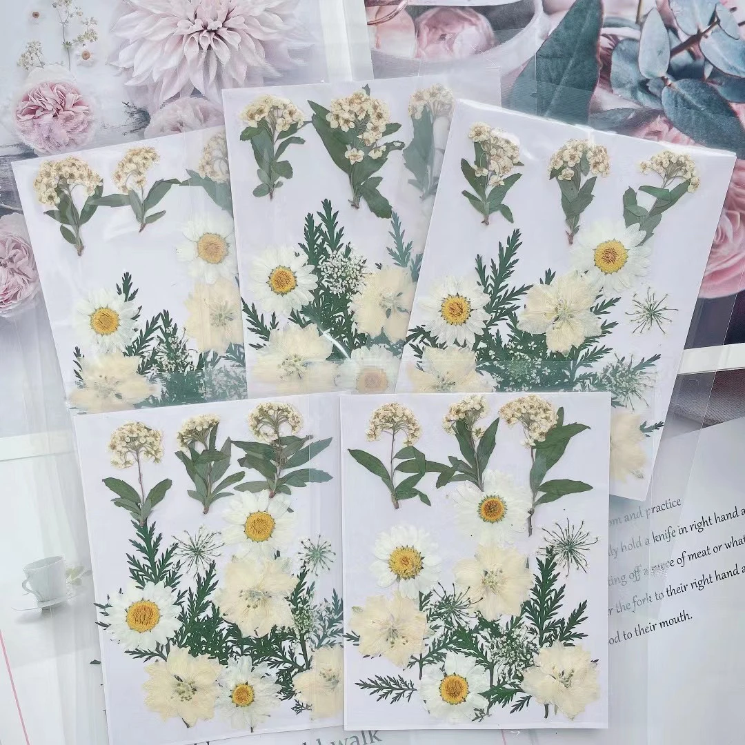 15pcs/set Pressed Dried Flower Leaf Plant Herbarium For Jewelry Bookmark Postcard Phone Case Invitation Card DIY Design-5