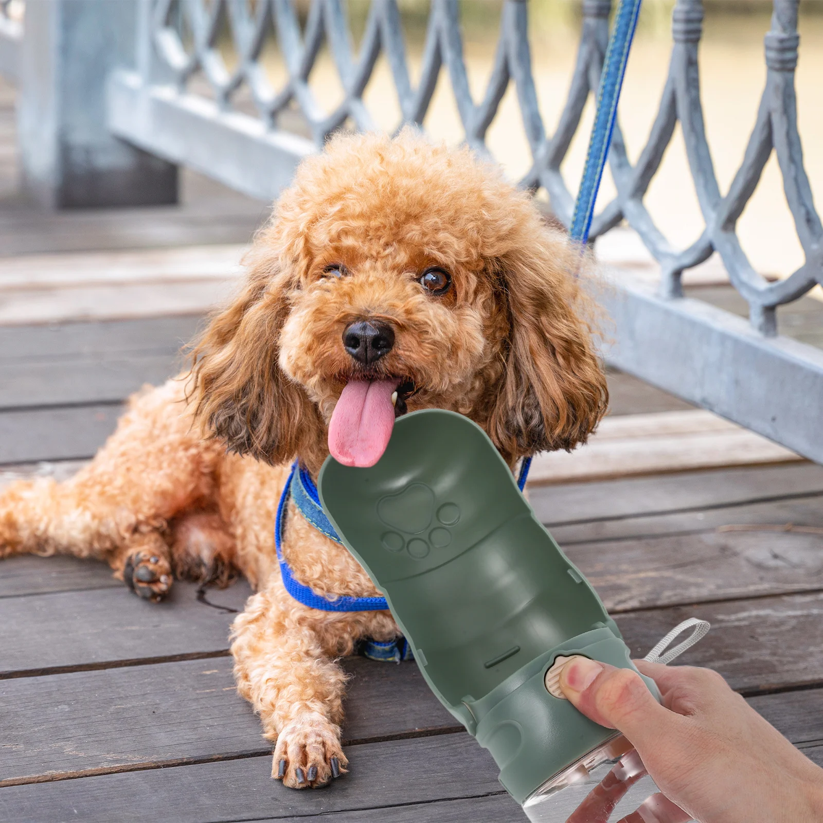 

1Set Portable Dog Water Bottle Multi-Functional Pet Drinking Container for Walking Hiking Outdoor Travel Safe Material Stylish