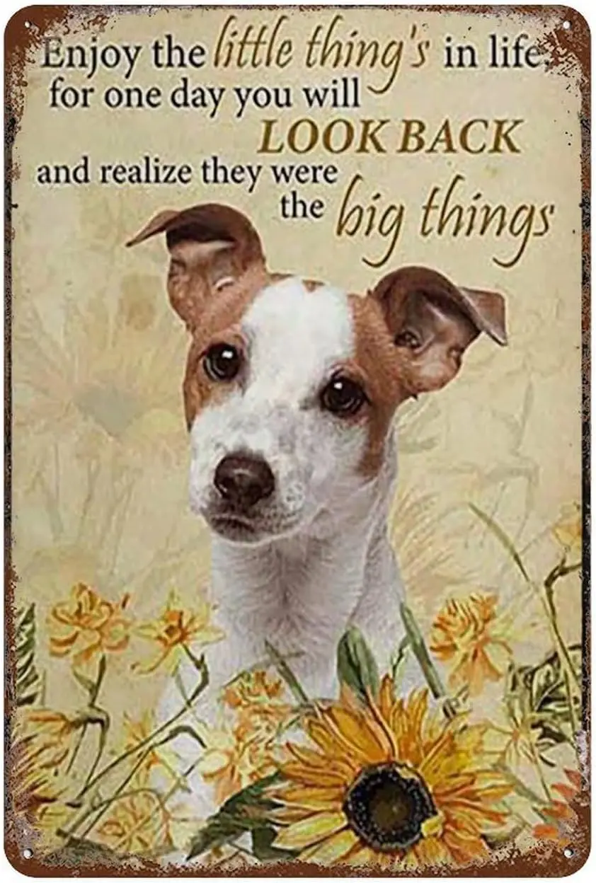 Vintage Tin Sign Enjoy The Little Thing’S In Life, They Were The Big Thing’S Jack Russell Terrier Dog Funny Metal Tin Sign Wall