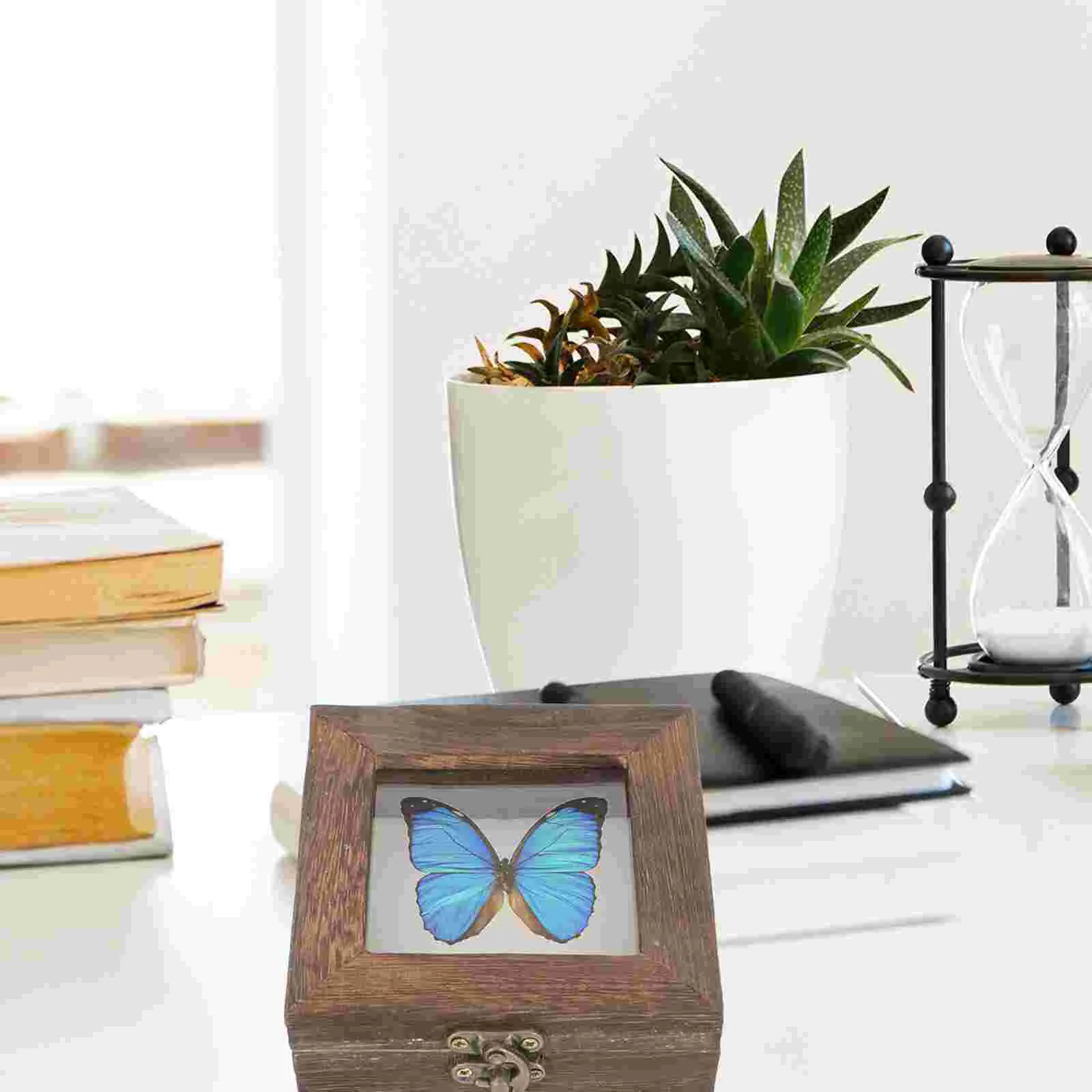 with Cover Butterfly Specimen Box Plant Trays Entomology Boxes Acrylic Retro Jewelry Case