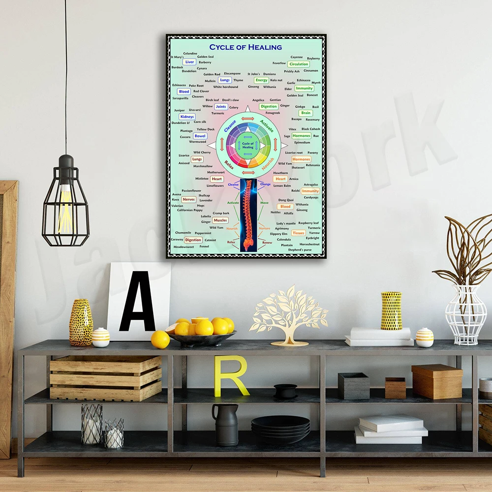 Healing cycle prints, health infographics, herbal wall art, natural remedies, decorative poster
