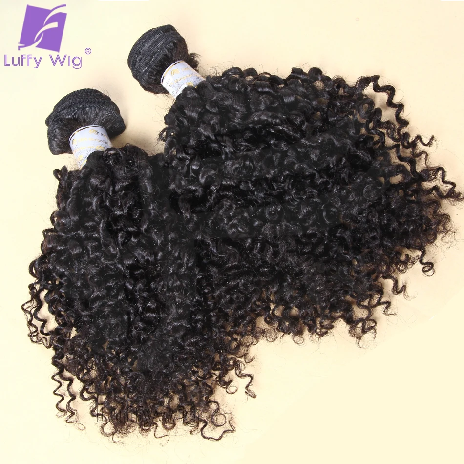 Double Drawn Full Ends Burmese Curly Hair Bundles 100% Human Hair Tight Curly Human Hair Bundles for Women Natural Black Color