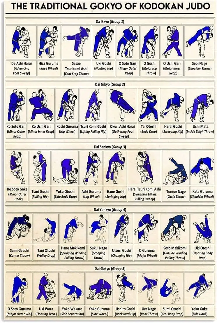 12X 16 Panneaux métalliques en aluminium sur le thème du Judo, Affiche vintage du Gokyo traditionnel de Kodokan, pour Salle d'arts martiaux D