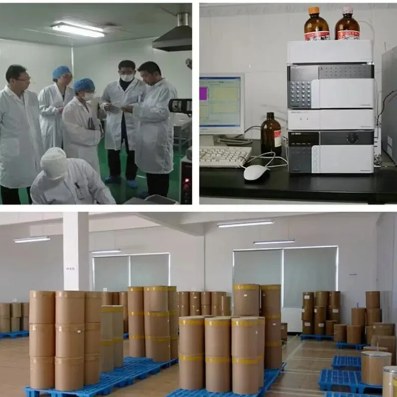 50g-1000g Transglutaminase (Meat Glue) 100% Powder