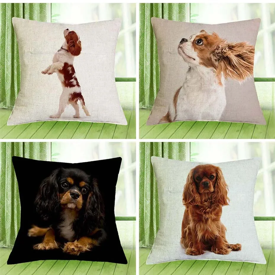 

Cavalier King Charles Spaniel 45x45cm Pillowcase Pillowcase Bedroom Sofa Home Decor