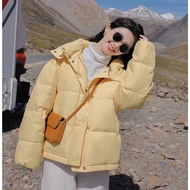 2025 Nieuwe Herfst Winter vrouwen Korte Parka Jas Dons Katoenen Jas Koreaanse Warme Winddicht Bovenkleding Vrouwelijke Student Kleding