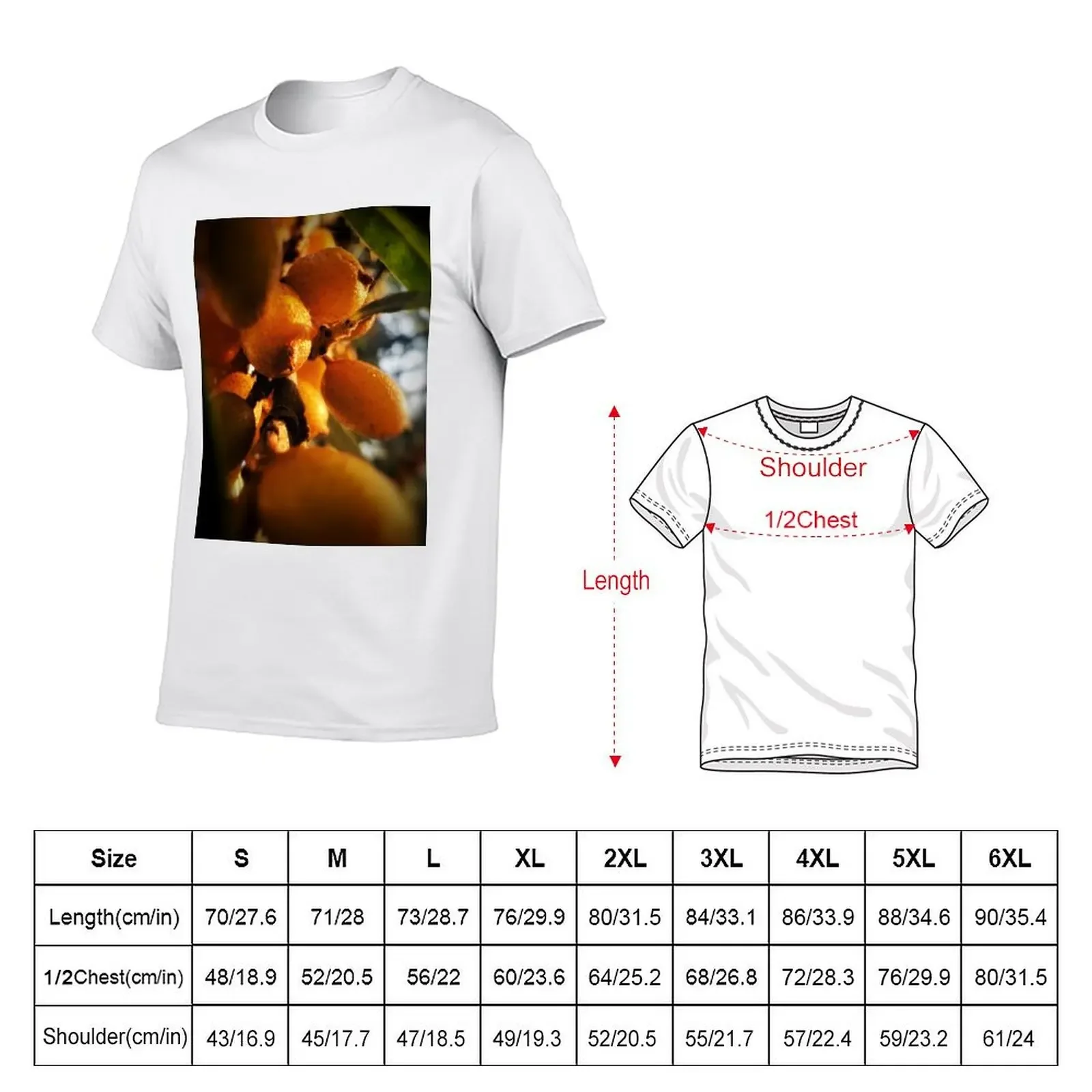 Buckthorn in the August evening sun T-Shirt cheap stuff street wear customs design your own vintage t shirt men