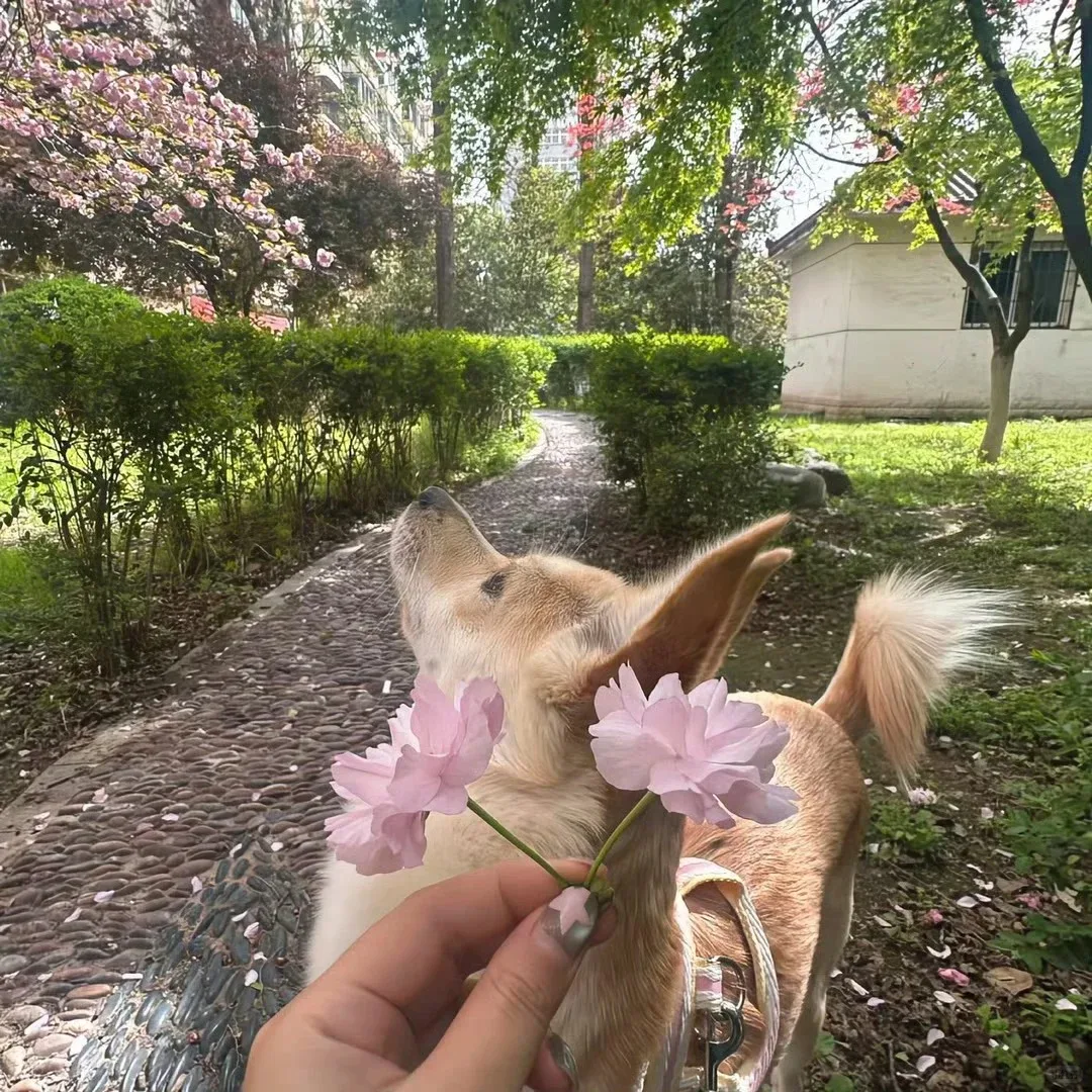 Breast Enlargement Vaccum Pump Cupping Muscle Stimulator Cupping Breast Vacuum Therapy Butt Lifting Machine