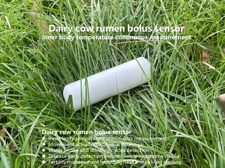 Gado bolus rumen sensor de temperatura corporal interna doença de vaca detecção precoce monitor de saúde detecção de calor igual ao smaxtec