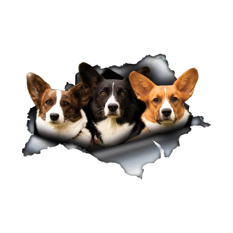 DK509# Cute Corgi Hiding in the Hole Sticker, 1pc Funny Car Decal, Suitable for Cars, Trucks, Motorcycles, Walls