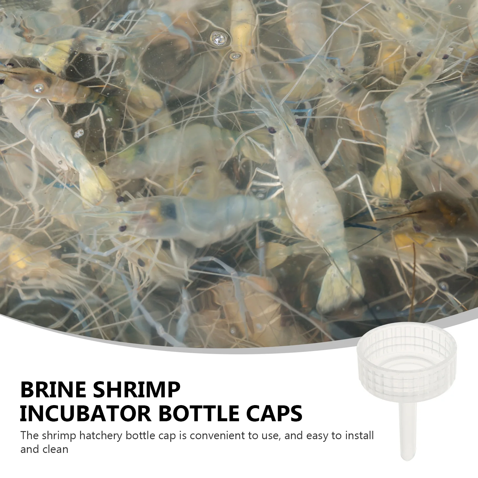 

20 pcs Bottle Cap Incubator For Brine Shrimp Plastic Hatchery Tool Compatible With Coke Bottles Aquarium Breeding Tank Covers