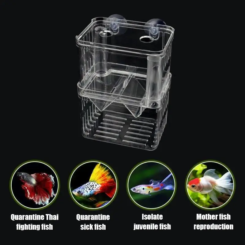 Caja de Incubación de Peces de Doble Capa con Flotación Automática, Tanque de Aislamiento de Acrílico para Cría de Peces Bebés, Dispositivo de Deposición de Huevos para Peces Tropicales