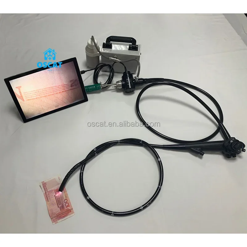 OSCAT Factory Veterinary Equipment Best Price Flexible Video Colonoscope Endoscope Olympus Fiberoptic Tower Colonoscope