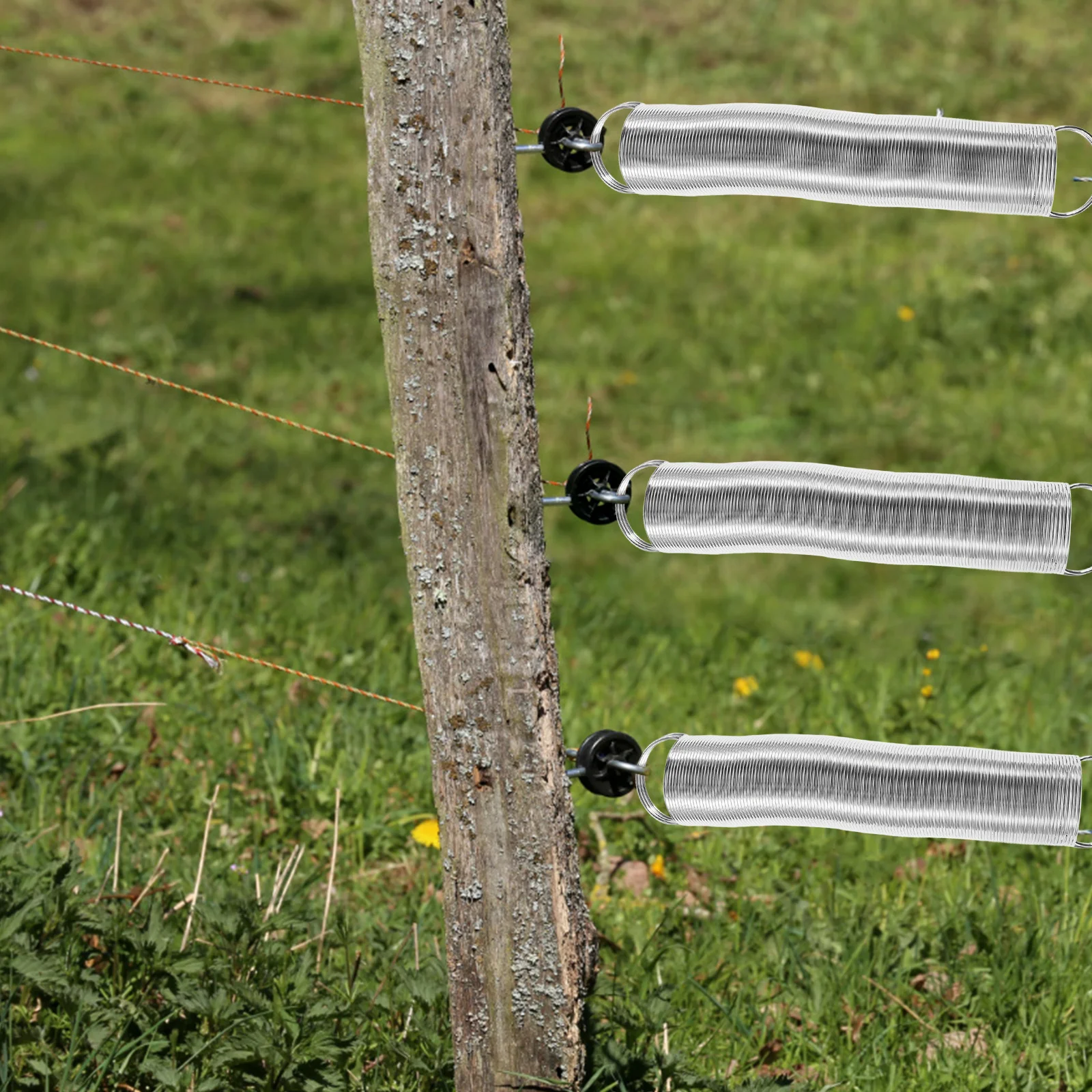 

Tension Springs for Electric Fence Stainless Steel Livestock Fence Spring Secure Practical Efficient Longevity